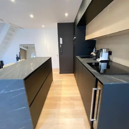 Apartamento Loft / Duplex - Canal Saint-martin *